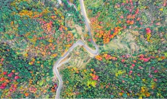 来义乌十几年没发现景色这么美,义乌值得去的自然景点