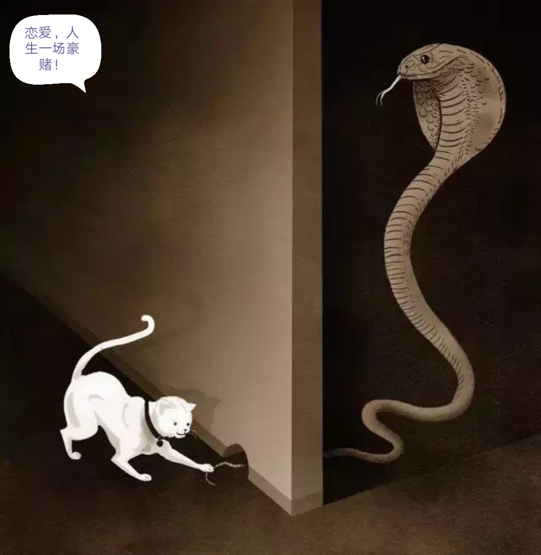 《爱情，人生一场豪赌》等不起—25