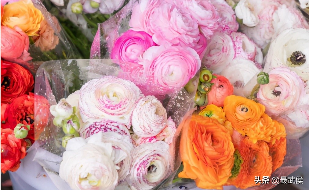 成都便宜的大花市,成都街边卖花一元一束