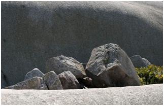 这些奇形怪样的石头你见过吗,25种不同的石头让你看了难以置信