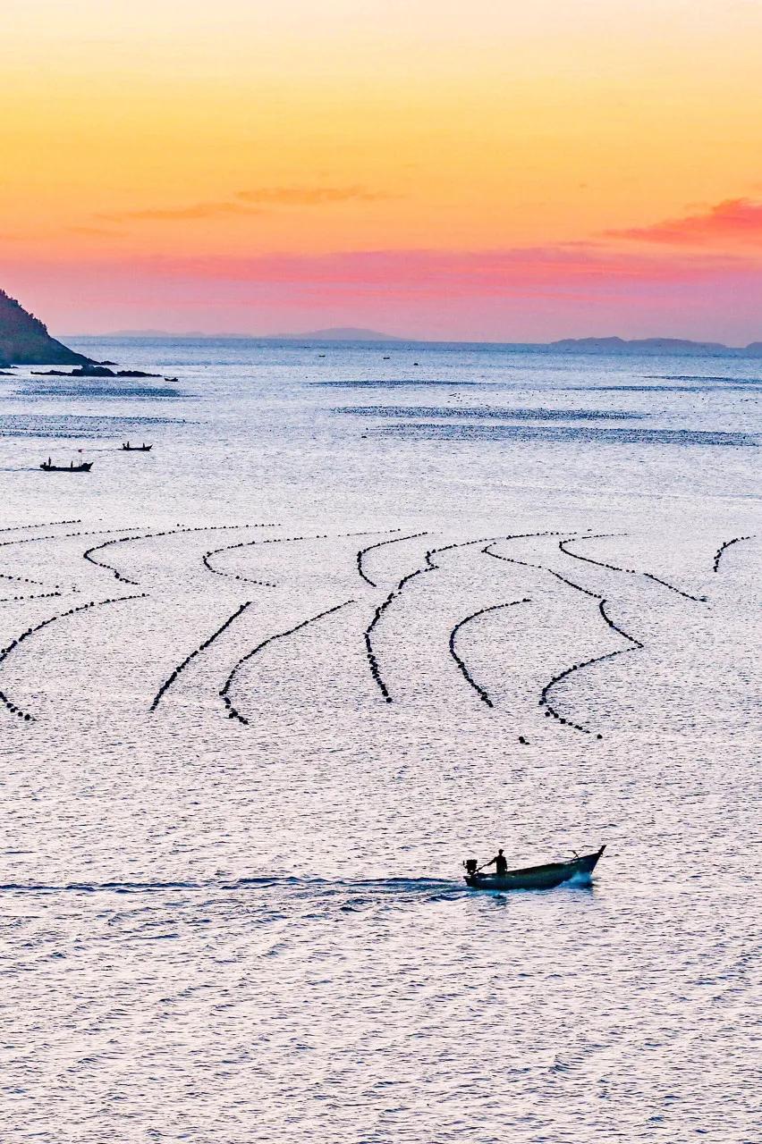 旅游三亚和厦门哪个更值得去,三亚和厦门哪个更值得去三亚旅游