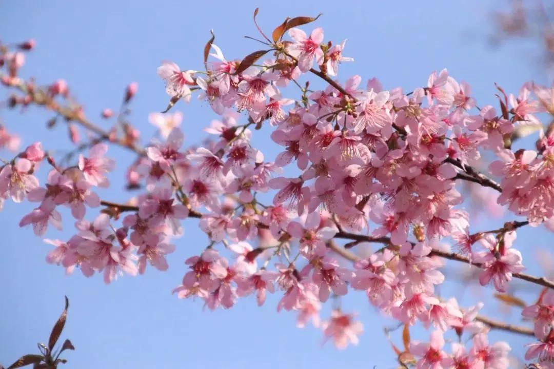 邛海湿地公园旅游攻略路线,西昌邛海住民宿攻略