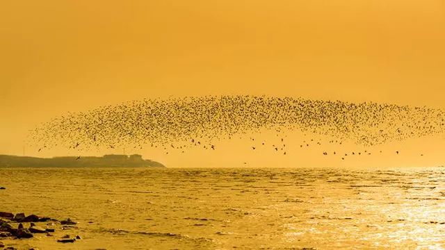 营口生活指南有哪些,营口市生活指南