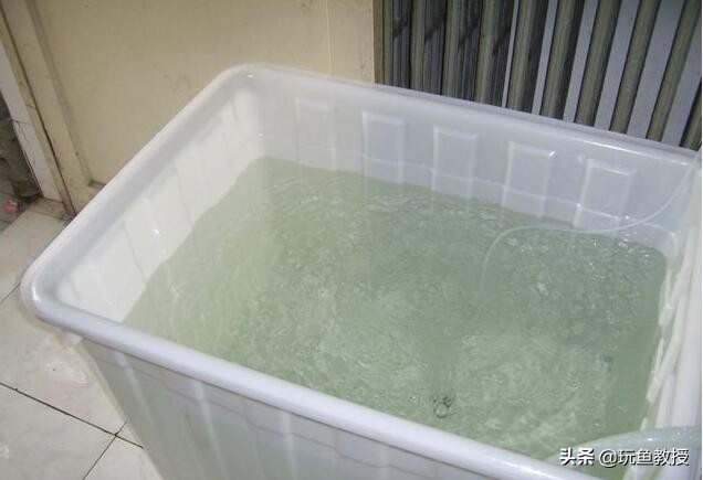 鱼缸制氧机为什么很多气泡,为什么鱼缸玻璃上有很多气泡