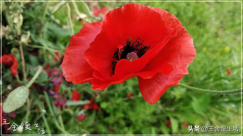 我可以抱抱你吗怎么说,我可以抱你吗的视频