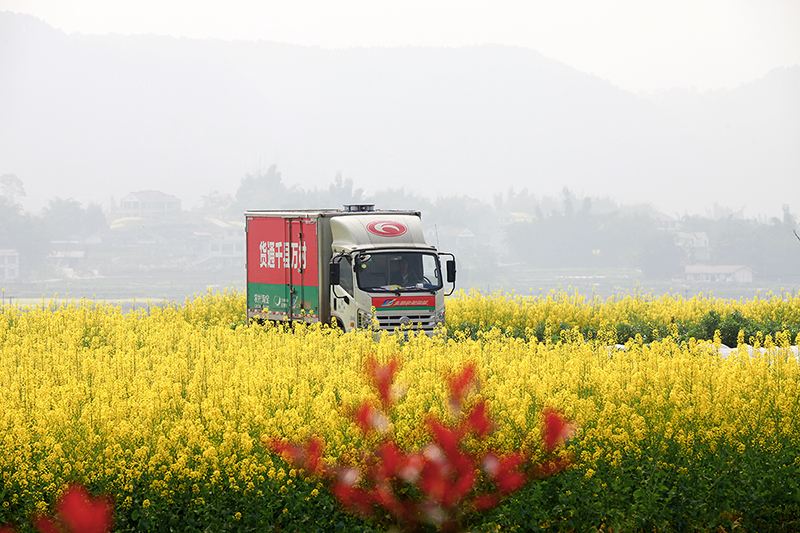董哥用工风险,董哥做什么生意