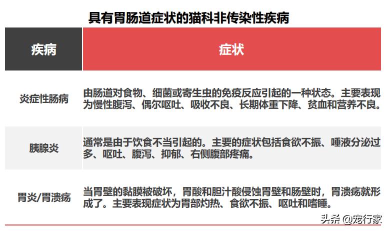 猫为什么会呕吐？如果我家猫呕吐了，我该怎么办？