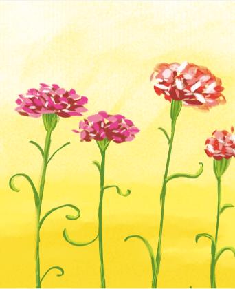 教师节儿童画康乃馨,八岁小孩画简单教师节的绘画