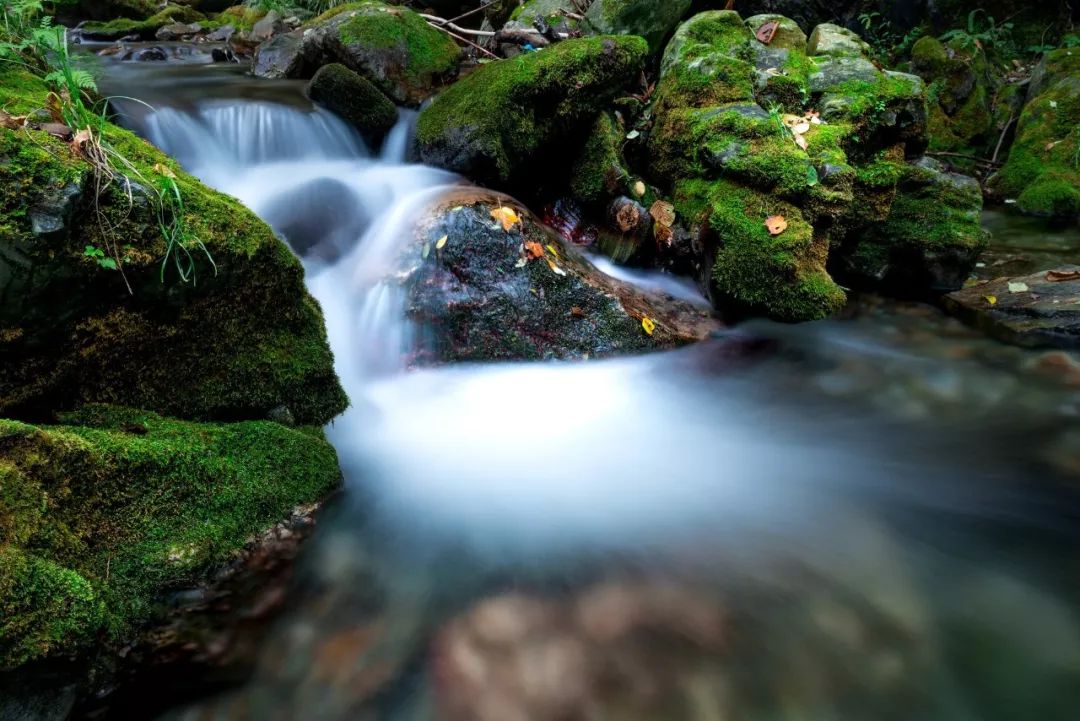 2021秦岭鸡窝子分水岭红叶,秦岭红叶最佳自驾线