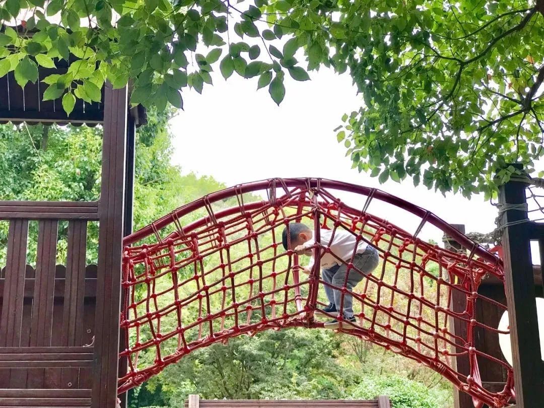 穹窿山国家森林公园接待游客,穹窿山景区旅游感受