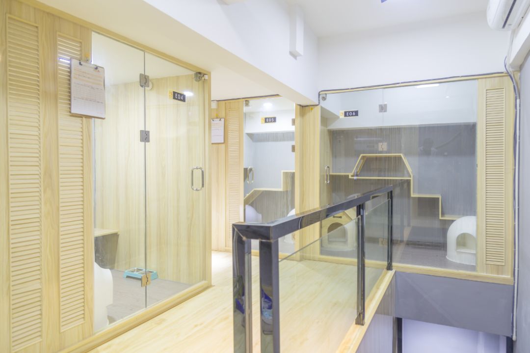 猫舍卖猫这行业为什么这么暴利,猫咪宠物店靠什么盈利