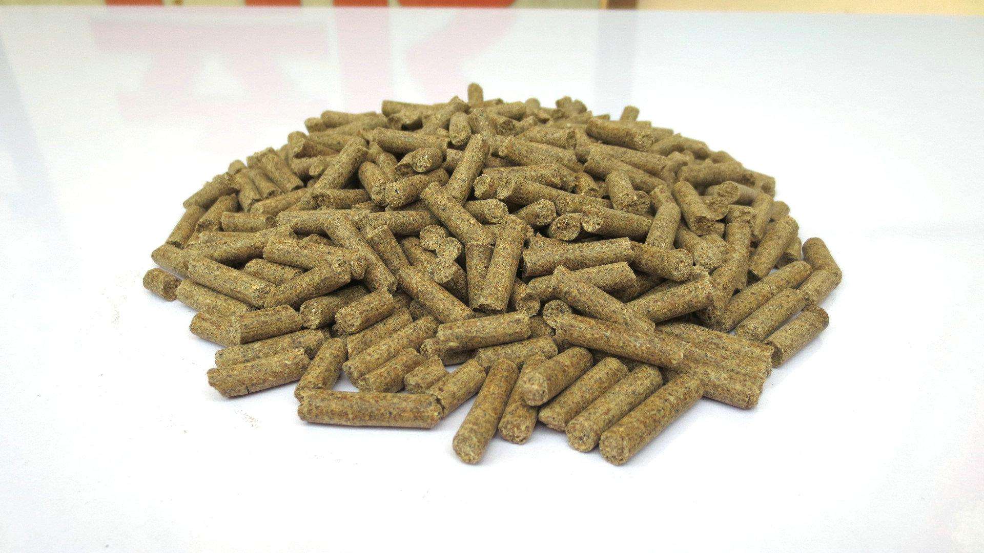 红虫饵颗粒怎么挂钩,钓鱼颗粒的正确挂钩方法