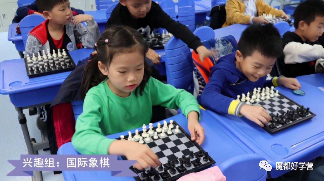 徐汇区一贯制学校,徐汇区九年制一贯制学校