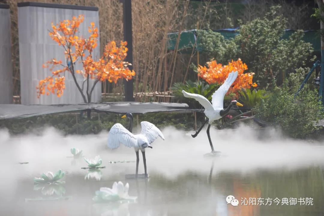 红盘的秘密,红盘探秘是什么意思