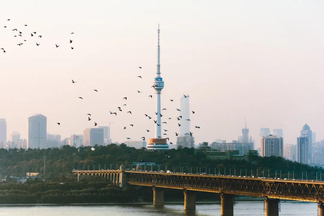 武汉的名字来自哪里,武汉的名字的历史
