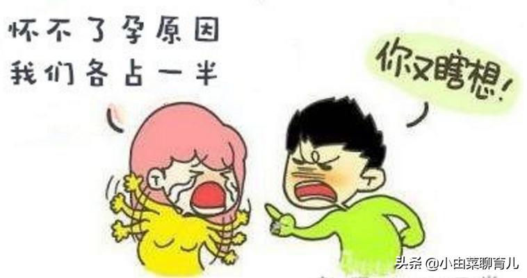 受孕成功的全过程,受孕全过程的科普解读