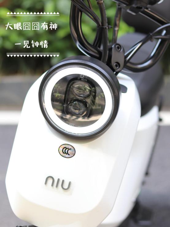 新国标小牛值得买吗,新国标小牛好吗