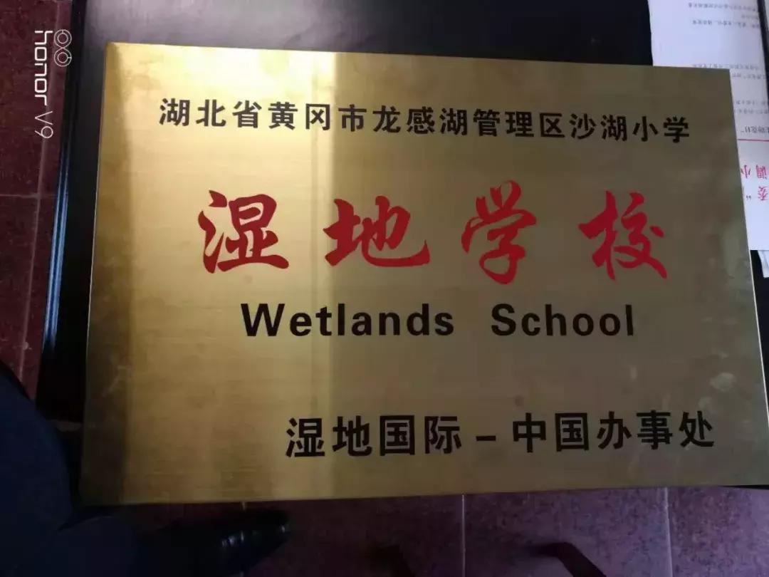 龙感湖小学视频,龙感湖中心小学教育