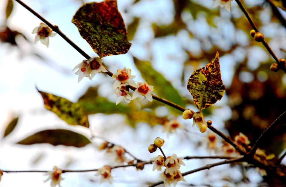 十堰旅游吃什么,十堰又能吃又能玩的地方