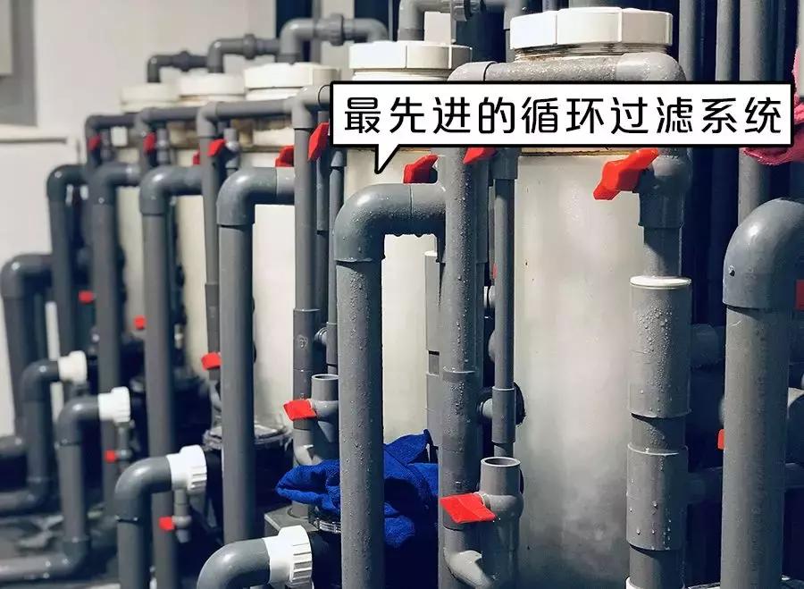 厦门90海里蒸汽海鲜自助,厦门岛内蒸汽海鲜自助