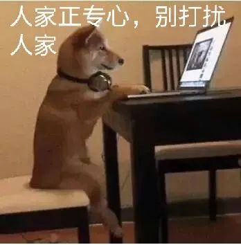 微信如何提现免手续费的方法,微信提现如何免手续费的步骤