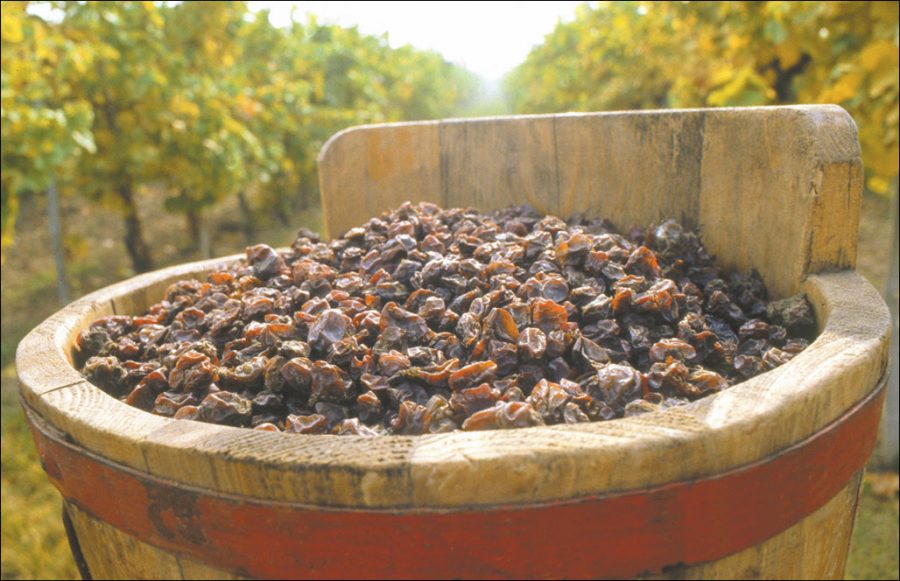 1978年的罗曼尼康帝葡萄酒,罗曼尼康帝干红葡萄酒2007