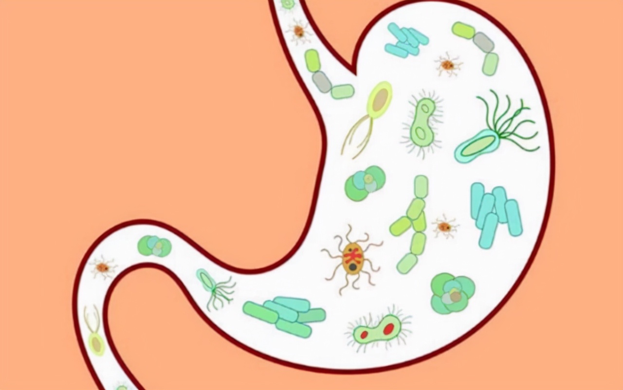 红薯减肥法一天三餐全部吃红薯,减肥吃生红薯还是熟红薯