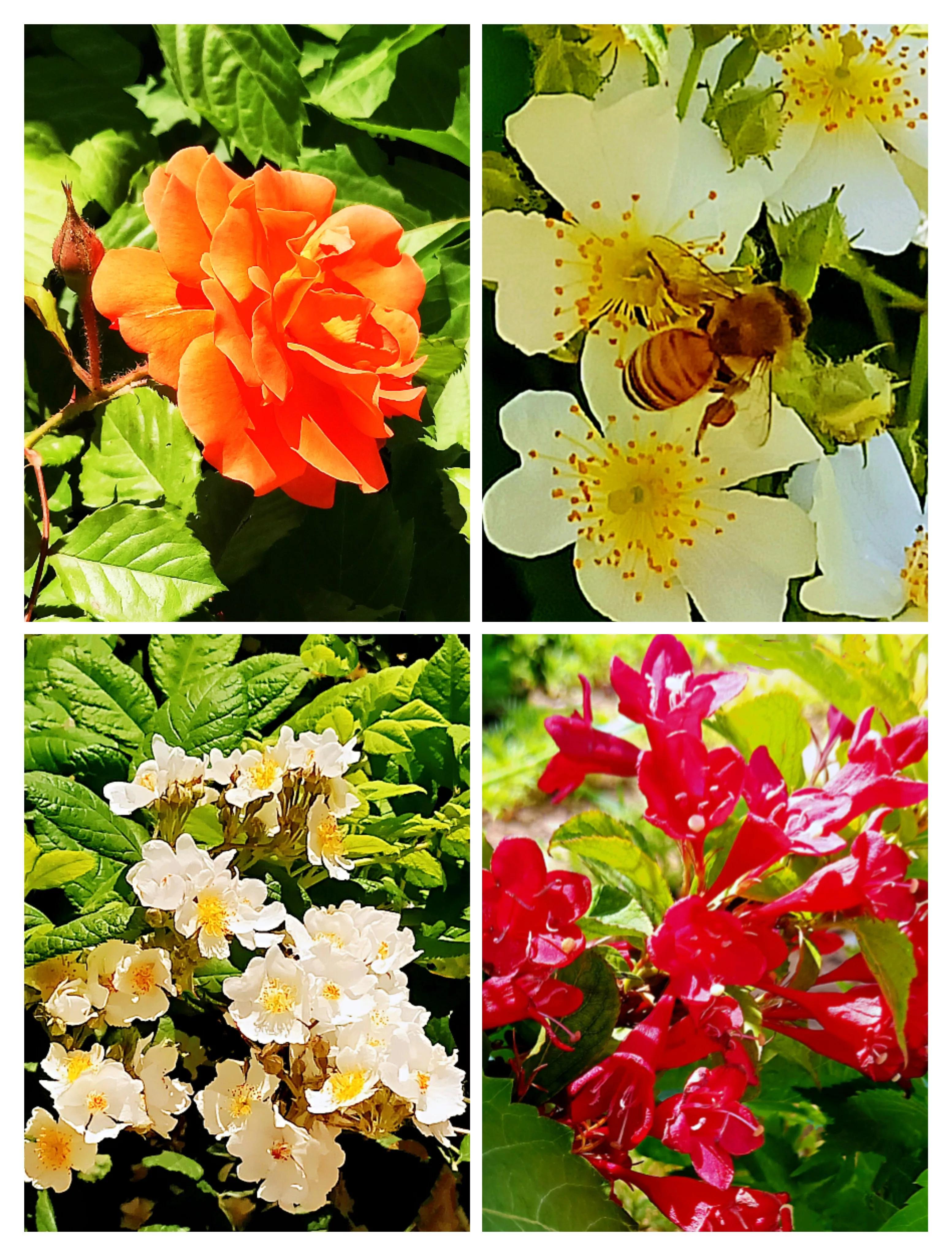 天津银河广场景观,天津银河公园攻略