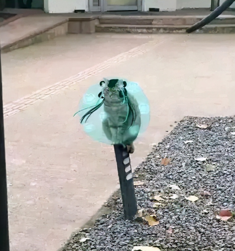 剑网三技改最新爆料,剑网三最新重点调整