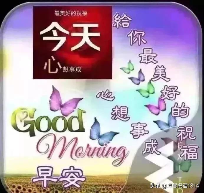 星期一早晨祝福问候语,星期天早上问候语温馨正能量