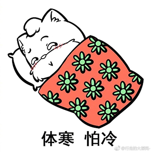 theordinary、skinfood与国货，同样是平价，差的不是一点半点