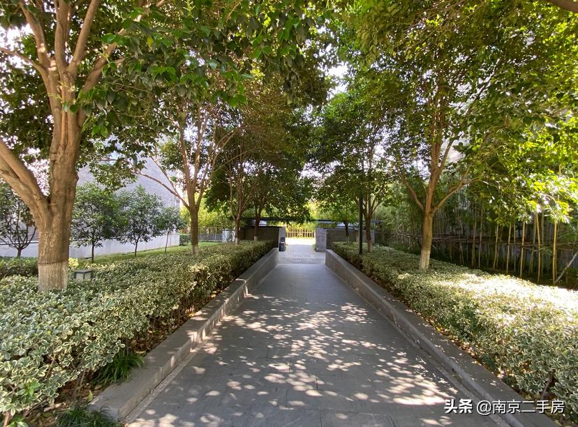 凭实力吸粉!成交破4万/㎡,实探百家湖“网红”神盘