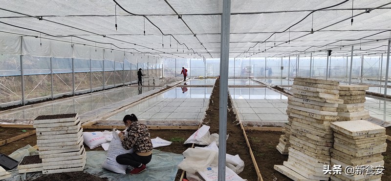 一本日记一份初心,一部战疫日记