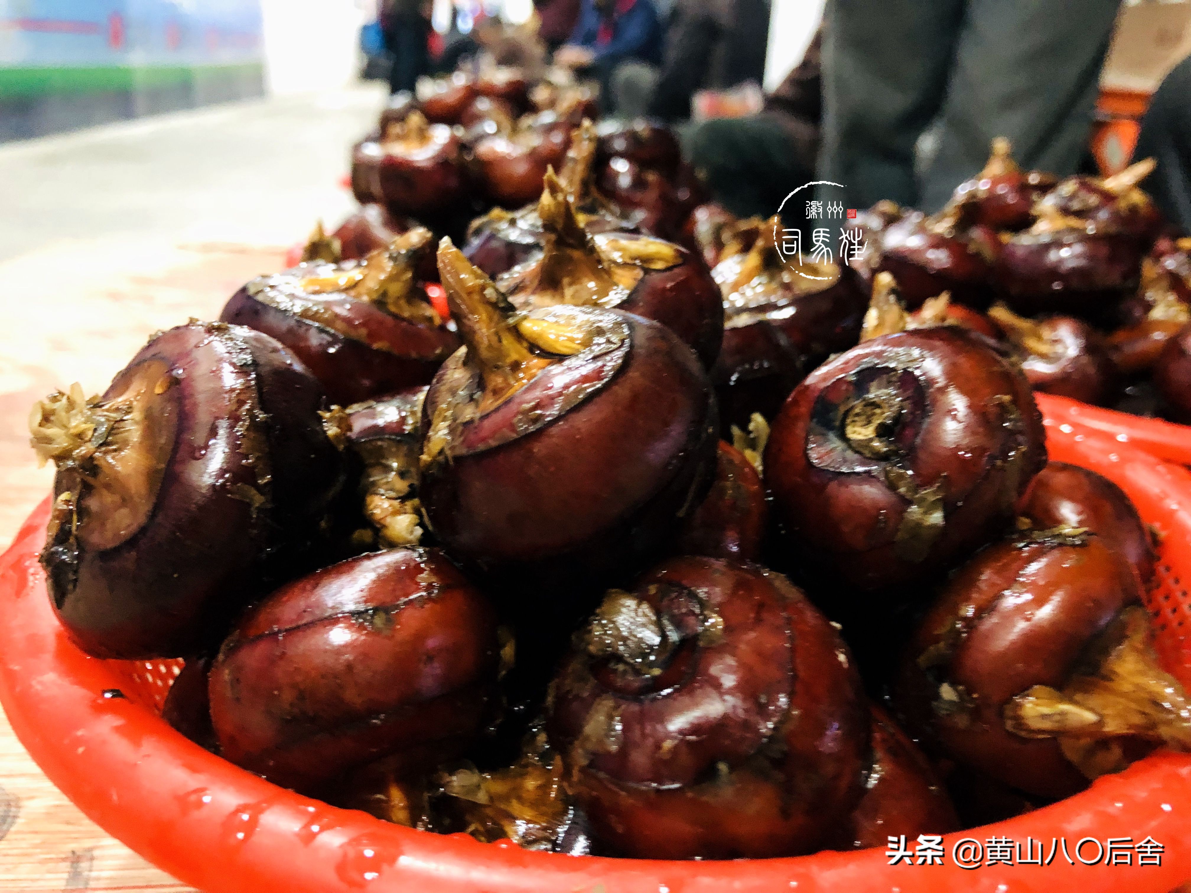 鑸屽皷涓婄殑涓浗榛勫北姝欏幙鑽歌崰,鑸屽皷涓婄殑缇庨鑽歌崰