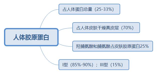 普及胶原蛋白对面部的优势,youngdoctor胶原蛋白肽是智商税吗