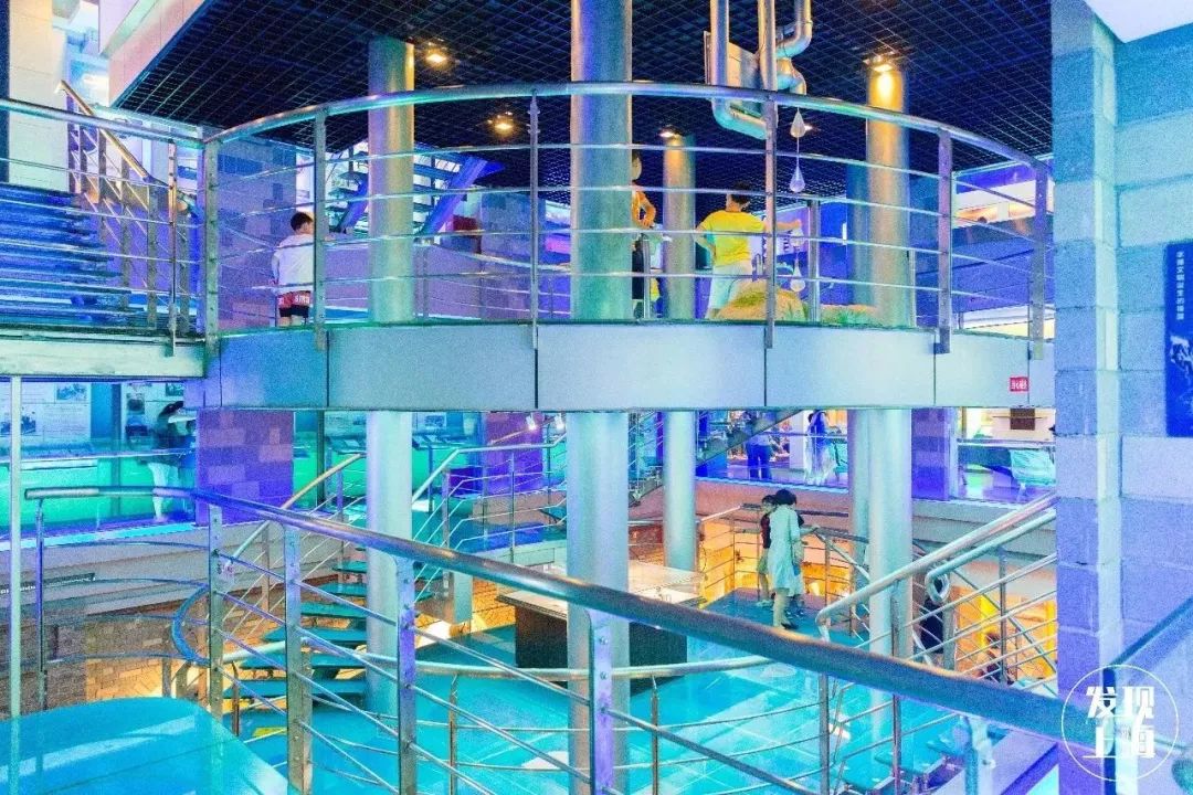 上海宋城免费景点,上海一日游攻略必去景点免费