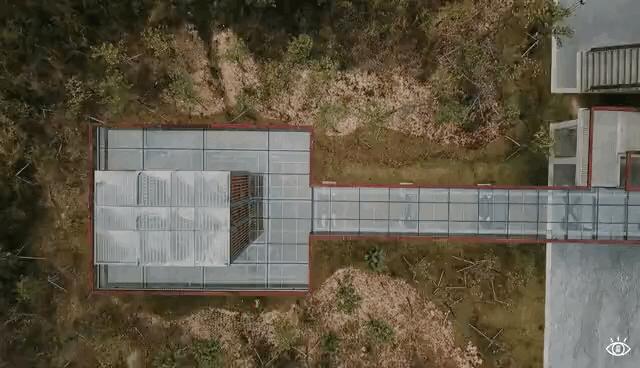 深圳西丽玻璃栈道,深圳海滨栈道重新开放