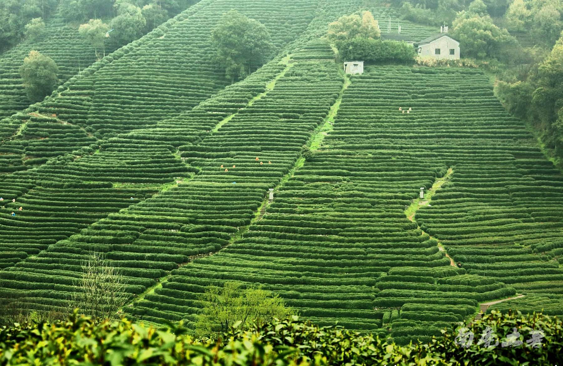 杭州电子商务示范区,杭州电子商务产业园