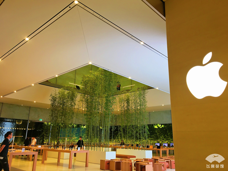 澳门旅游攻略 酒店 (澳门旅游攻略自由行酒店)