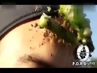 看着都痛的搞笑片段,各种看着都疼的作死瞬间