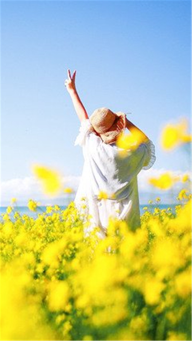 高清壁纸8k风景壁纸,风景壁纸超清手机壁纸