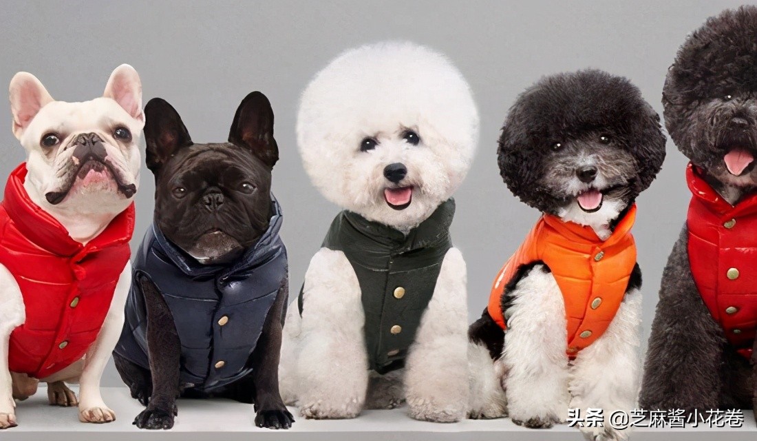 凡尔赛文学其实无处不在,凡尔赛文化盛行