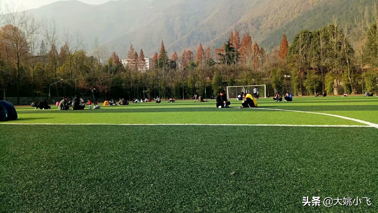 我的大学简介,我的理工大学