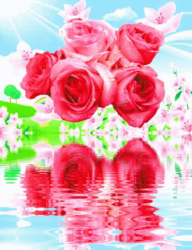 老年三字经经典语录,最新老年三字经全文