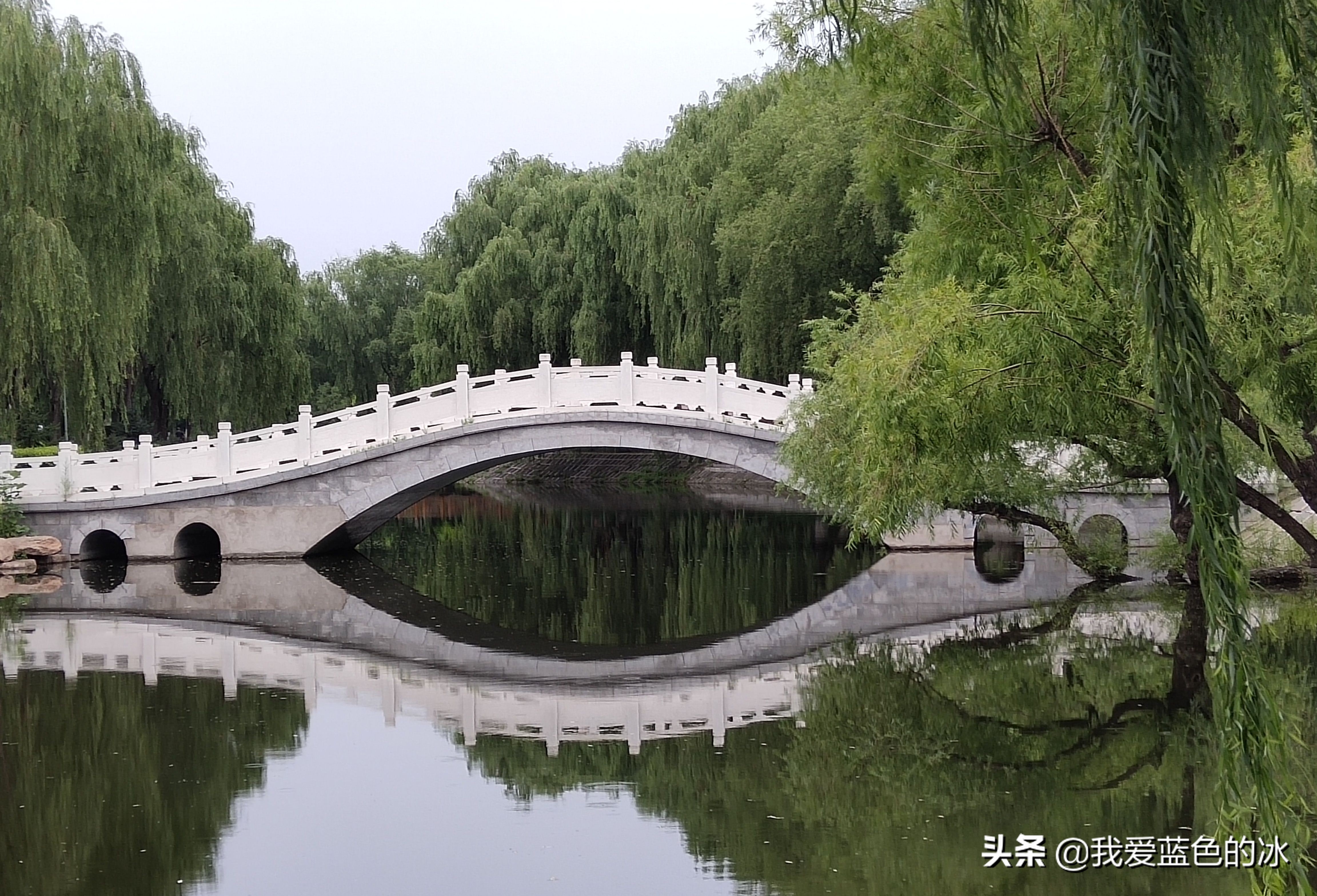 长春满眼都是绿色的地方,长春的绿化很好吗