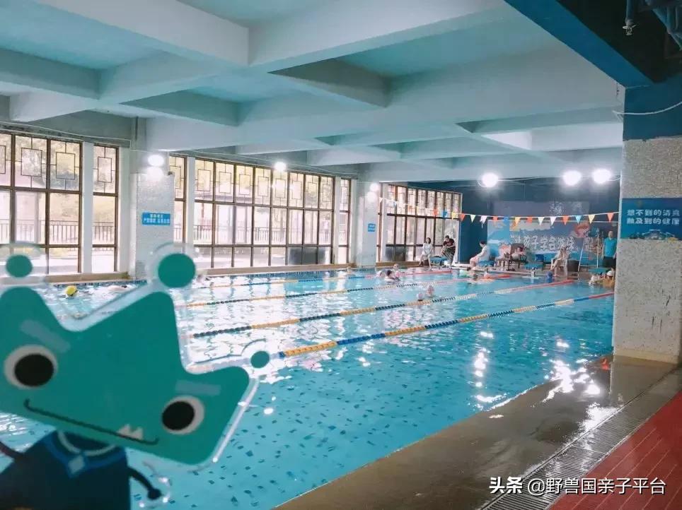 东莞哪里适合小孩子游泳冬天,暑假最适合学习游泳的地方