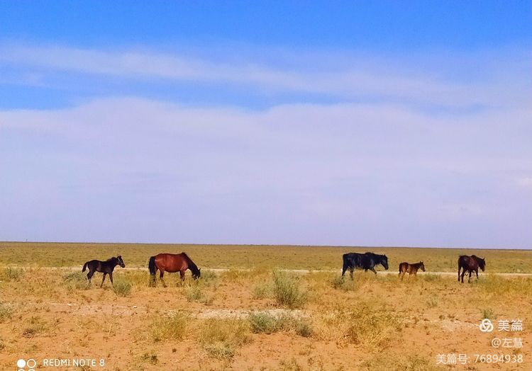 内蒙古二连浩特地图,内蒙古二连浩特机场