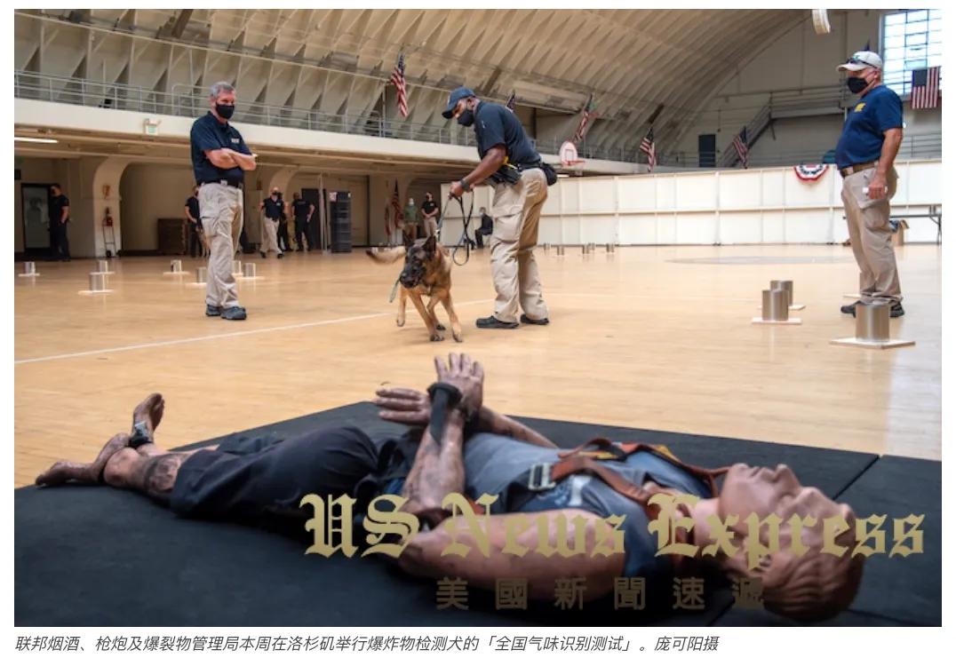 「锐视频」狗鼻子不灵不行美国警犬这样训的