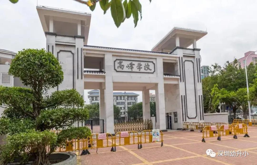 王炸组合第一,高考王炸组合哪三科