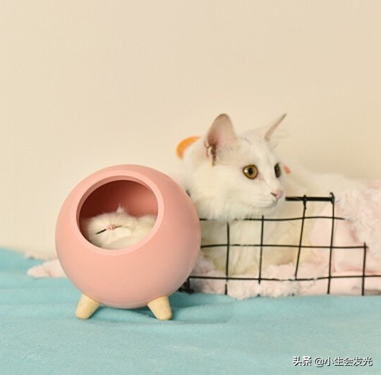 有什么实用的礼物送女朋友,2.14情人节送女朋友什么礼物